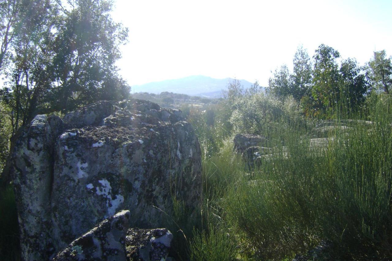 Tapada da Beirã Marvão Exterior foto