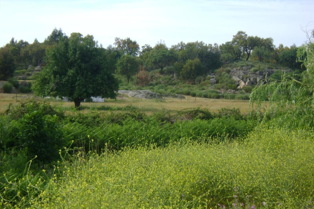 Tapada da Beirã Marvão Exterior foto