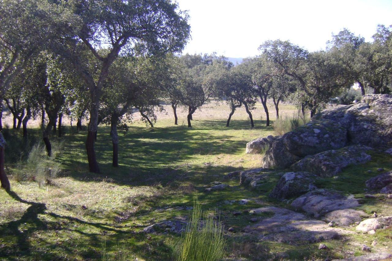 Tapada da Beirã Marvão Exterior foto