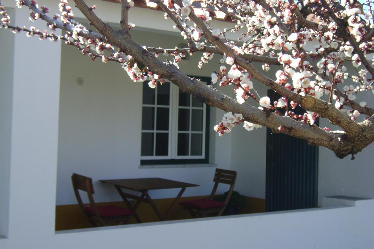 Tapada da Beirã Marvão Exterior foto